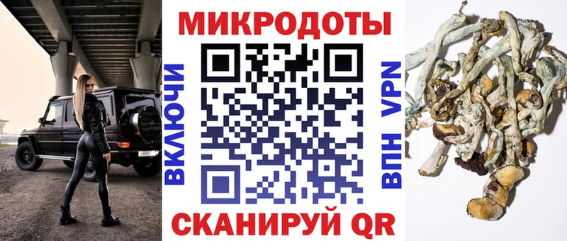 закладка Ивдель Галлюциногенные грибы мицелий
