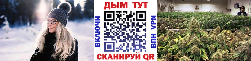 Бошки марихуана Bruce Banner Ивдель